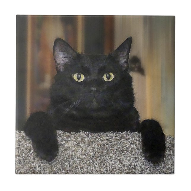 Azulejo Gato Negro (Frente)