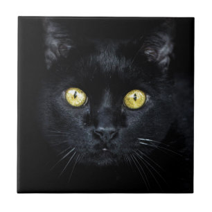 Azulejo Gato negro, ojos mágicos