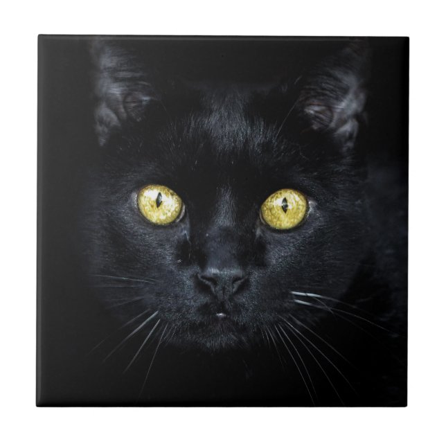 Azulejo Gato negro, ojos mágicos (Frente)