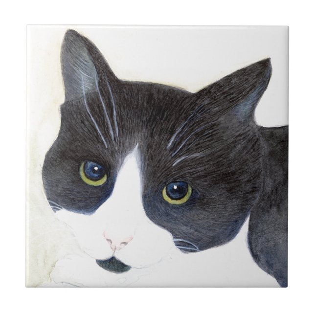 Azulejo Gato negro y blanco (Frente)