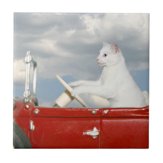 Azulejo Gato que conduce un coche