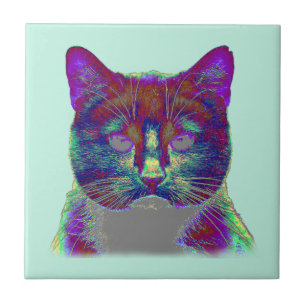 Azulejo Gato raro