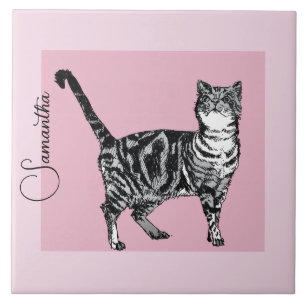 Azulejo Gato Tabby Rosa Pastel Nombre de Niña