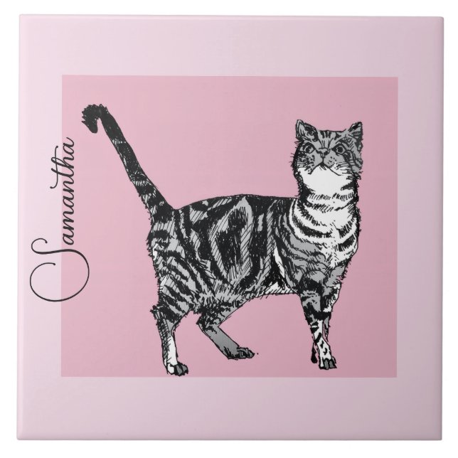 Azulejo Gato Tabby Rosa Pastel Nombre de Niña (Frente)