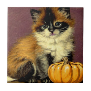 Azulejo Gato Vintage Ragdoll Halloween