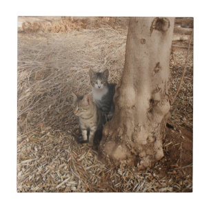 AZULEJO GATOS DE CAMPO PARA LOS AMANTES DE LA NATURALEZA