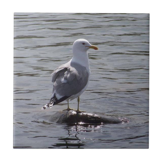 Azulejo Gaviota (Frente)