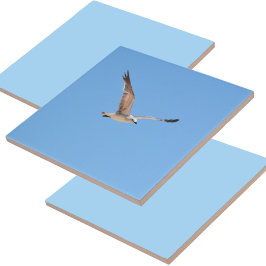 Azulejo Gaviota en azul vuelo