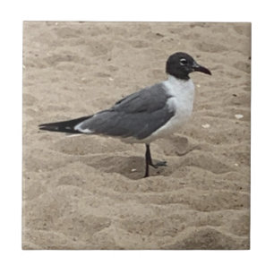 Azulejo Gaviota en la Playa en la Arena 