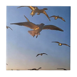 Azulejo Gaviotas con arte de contorno negro de vuelo