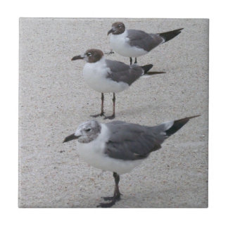Azulejo Gaviotas en la playa