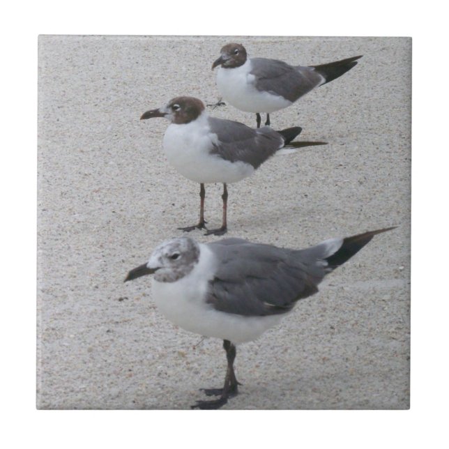 Azulejo Gaviotas en la playa (Frente)