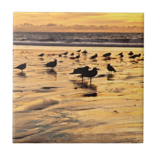 Azulejo Gaviotas en la playa al atardecer