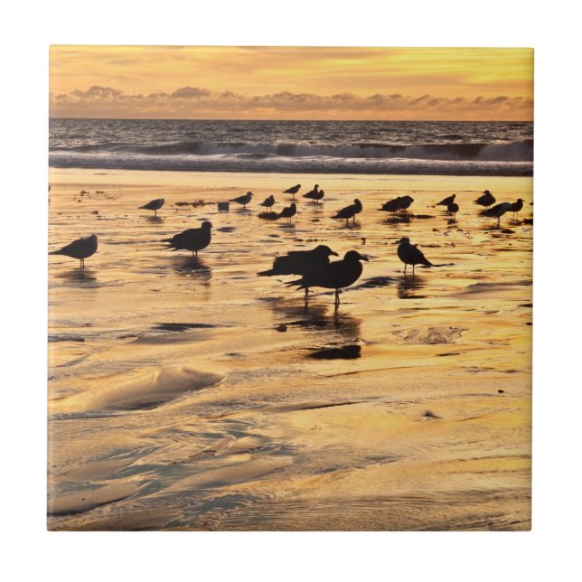 Azulejo Gaviotas en la playa al atardecer (Frente)