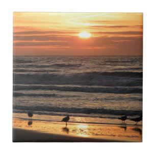 Azulejo Gaviotas junto al mar al atardecer