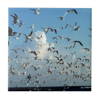Azulejo gaviotas que vuelan sobre la playa
