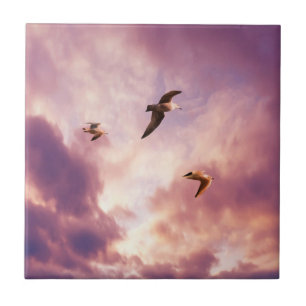 Azulejo Gaviotas volando en un cielo de puesta de sol