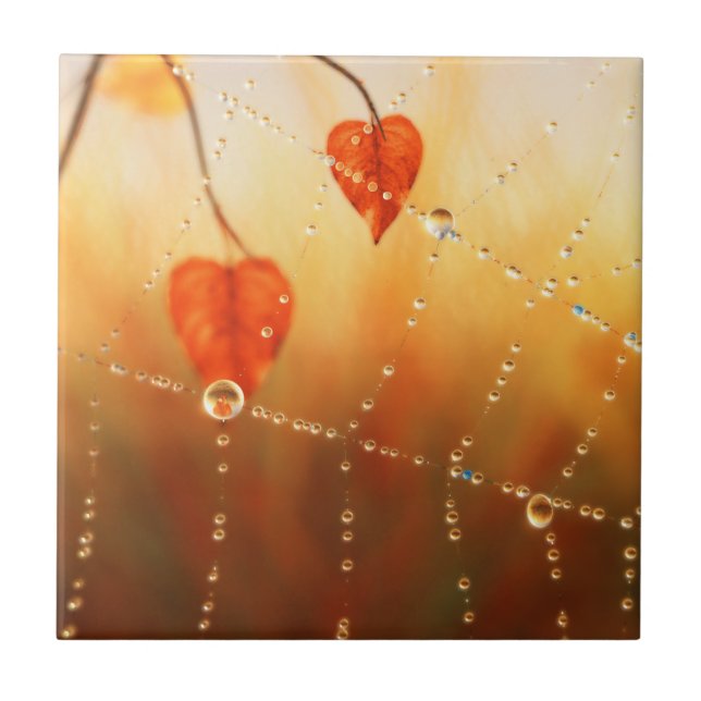 Azulejo Gemas de un mosaico decorativo de otoño / trivet (Frente)