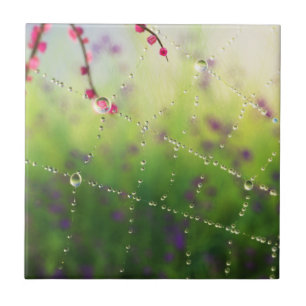 Azulejo Gemas de un mosaico matutino de primavera / Trivet