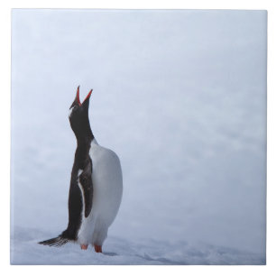 Azulejo Gentoo penguin