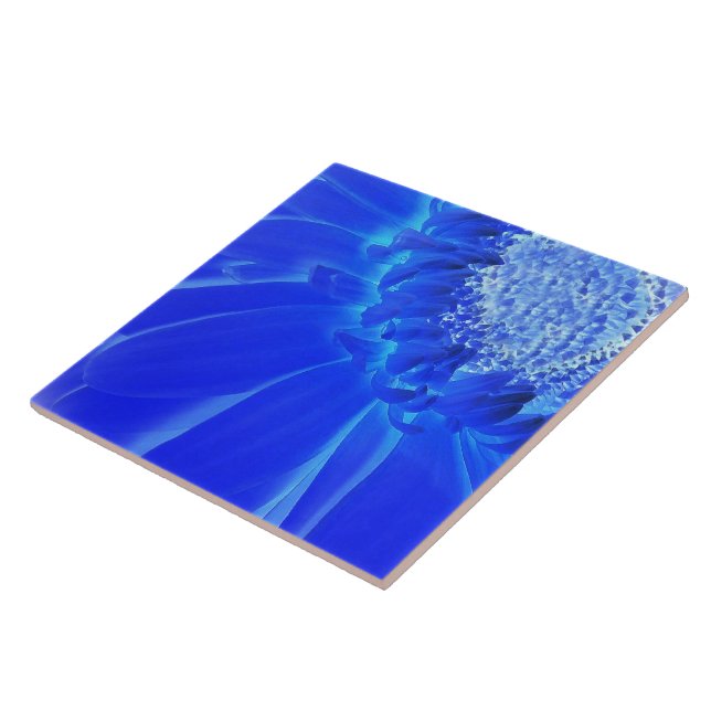 Azulejo gerbera azul eléctrico (Lado)