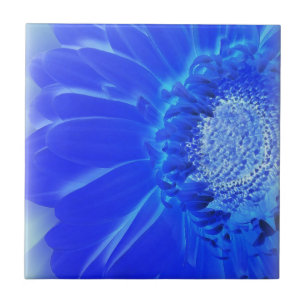 Azulejo gerbera azul eléctrico