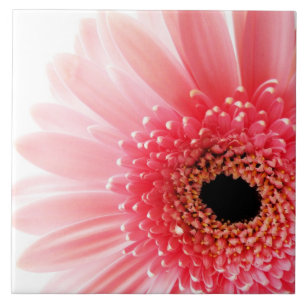 Azulejo Gerbera Daisy Poster