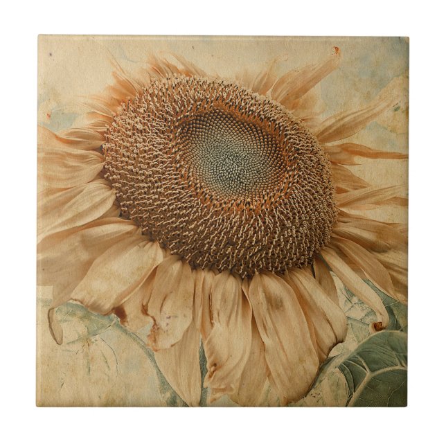 Azulejo Gigante Sunflowers Yellow Old Vintage Art (Frente)