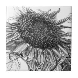 Azulejo Gigantes Sunflowers Vintage Arte Blanco Y Negro