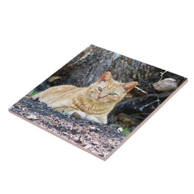 Azulejo Ginger Boy (Lado)