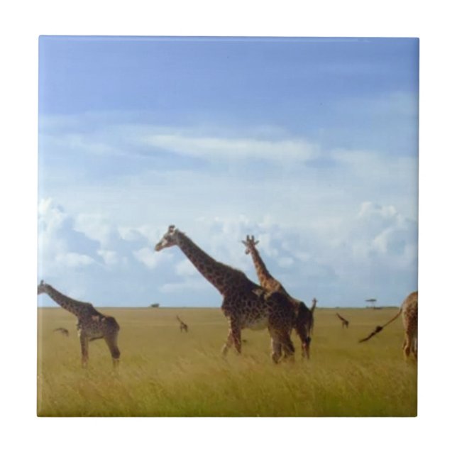 Azulejo Girafas del Parque Nacional de Nairobi (Frente)