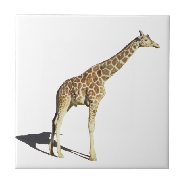Azulejo Giraffe (Frente)