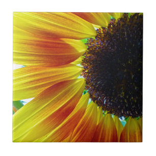 Azulejo Girasol
