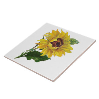 Azulejo Girasol
