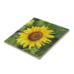 Azulejo Girasol