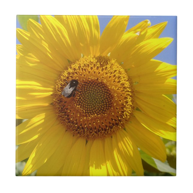 Azulejo Girasol amarillo (Frente)