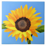 Azulejo Girasol amarillo contra el sol en el cielo azul -<br><div class="desc">Girasol amarillo contra el sol en el cielo azul - Día de verano - Foto Naturaleza de las flores - También puede personalizar - Elegir / Añadir su foto única - Imagen / Texto - Nombre / Color / Fuente / Tamaño / más - Hacer su regalo especial - Redimensionar...</div>