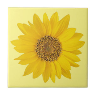 Azulejo Girasol amarillo único con amarillo claro
