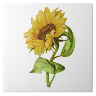Azulejo Girasol Vintage Floral Rústico