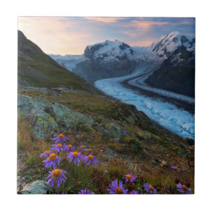 Azulejo Glaciar el Suiza de Monte Rosa