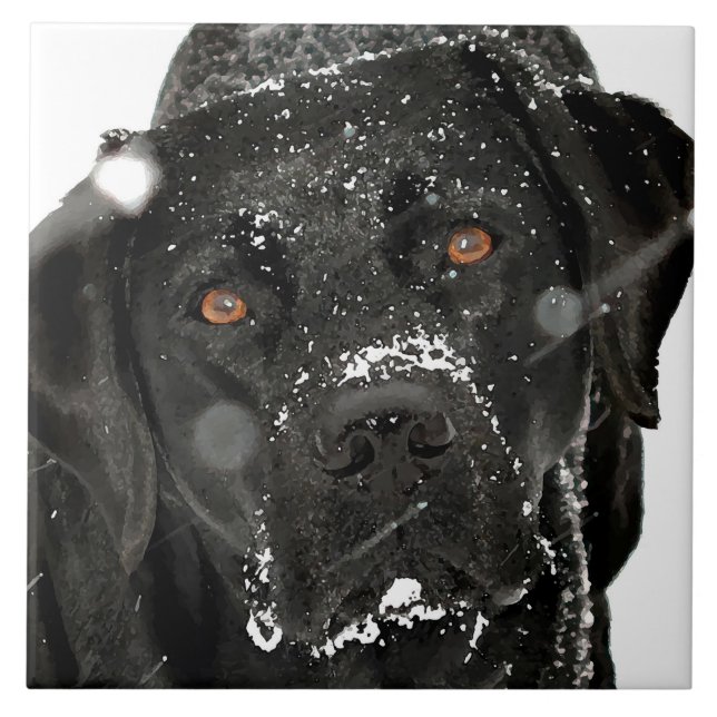 Azulejo Globe de la nieve - Perro de la nieve - Labrador n (Frente)