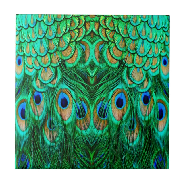 Azulejo Gloriosas plumas de pavo real (Frente)