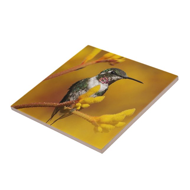 Azulejo Golden Glow (Lado)