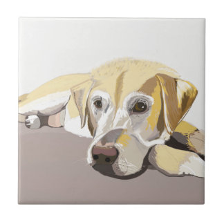 Azulejo Golden Labrador