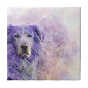 Azulejo Golden retriever del perro 140