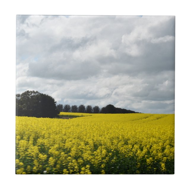 Azulejo Golden Waves of Streatham (Frente)