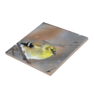 Azulejo Goldfinch