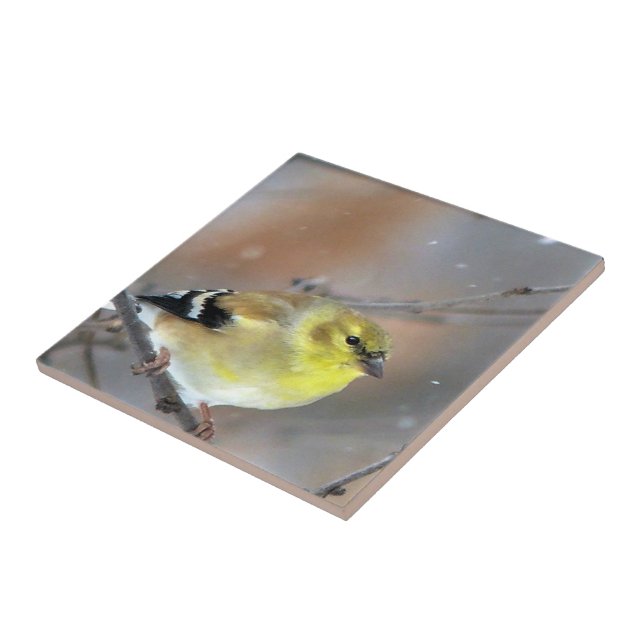 Azulejo Goldfinch (Lado)