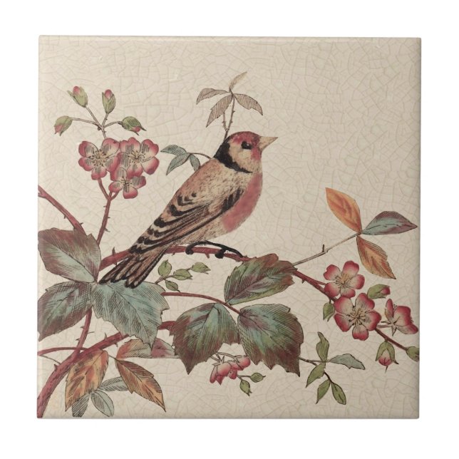 Azulejo Goldfinch Polychrome Staffordshire Repro Antigüeda (Frente)