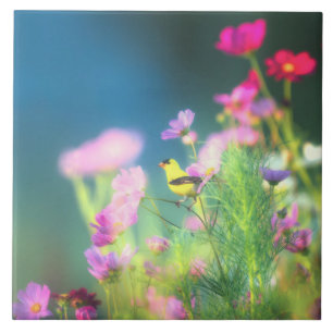 Azulejo Goldfinch y Coreopsis de Estados Unidos